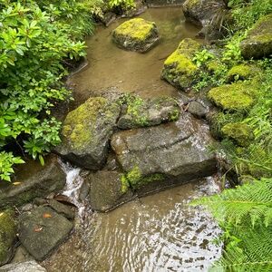 Meet your Posher, Chelsie